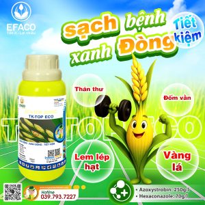 Thuốc trừ bệnh TK-TOP ECO 320SC 240ml/chai