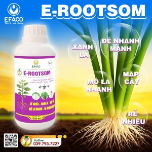 Phân bón hữu cơ E-ROOTSOM 500ml/chai