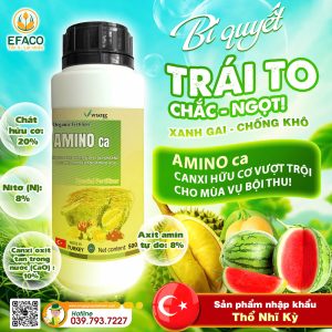 phanbonaminocachai500ml