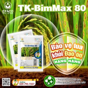 Thuốc trừ bệnh TK-BimMax 80 100gr/gói