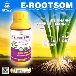 Phân bón hữu cơ E-ROOTSOM 500ml/chai