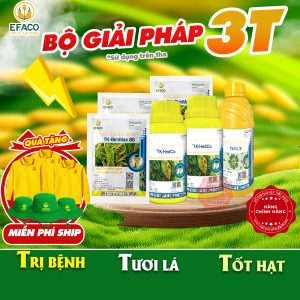 BỘ GIẢI PHÁP 3T (TRỊ BỆNH, TƯƠI LÁ, TỐT HẠT)