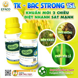 Thuốc trừ bệnh TK-BAC STRONG 1SL