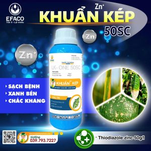 Thuốc trừ bệnh KHUẨN KÉP 50SC 300ml/chai