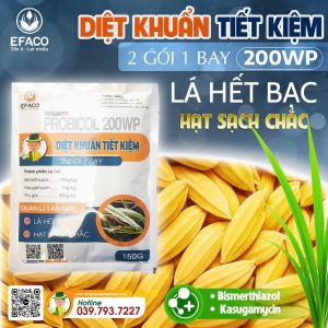 Thuốc trừ bệnh DIỆT KHUẨN TIẾT KIỆM 200WP 150gr/gói