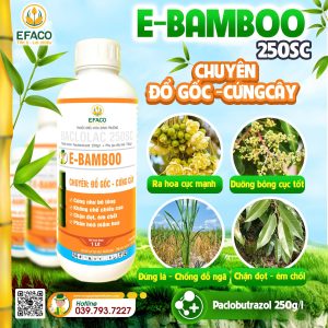 Thuốc điều hòa sinh trưởng E-BAMBOO 250SC 1 lít/chai