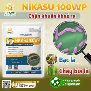 Thuốc trừ bệnh NIKASU 100WP 150gr/gói