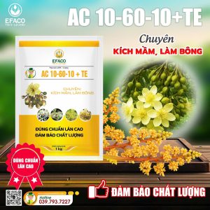 Phân Bón AC 10-60-10+TE 1kg/gói